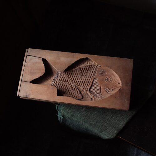 日本早期 魚模